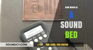 Sound Bed Pricing Guide: Costs, Features, and Value Explained