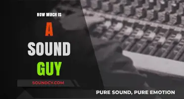 Sound Guy Rates: Understanding Costs for Audio Professionals