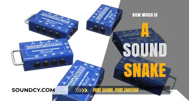 Understanding the Cost of a Sound Snake for Your Audio Setup