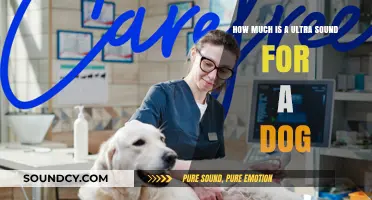 Dog Ultrasound Cost: What to Expect for Your Pet's Scan