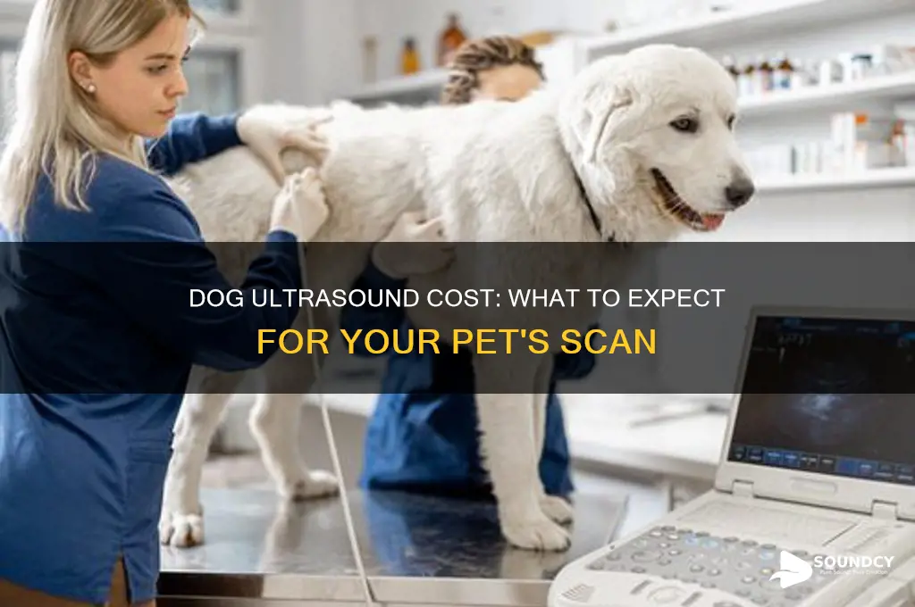 how much is a ultra sound for a dog