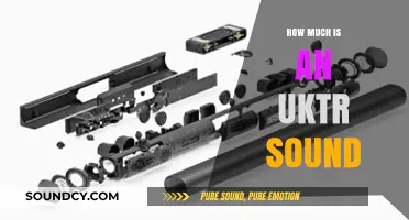 Understanding the Cost of an UKTR Sound System: A Comprehensive Guide
