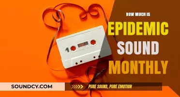 Epidemic Sound Monthly Cost: Affordable Pricing for Creators and Businesses