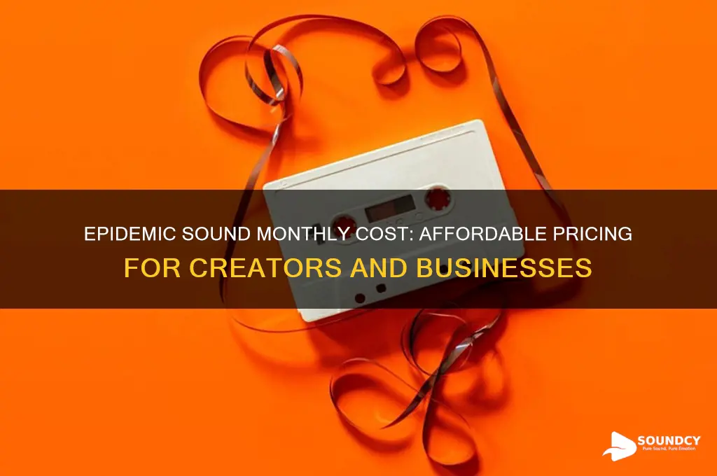 how much is epidemic sound monthly