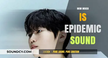 Exploring Epidemic Sound: Cost, Features, and Value for Creators