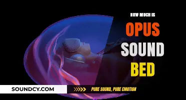 Opus Sound Bed Price: A Comprehensive Guide to Its Cost