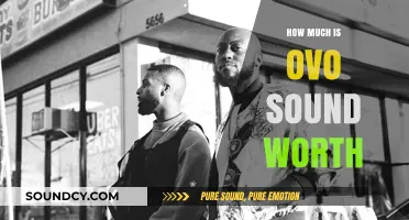 Unveiling OVO Sound's Net Worth: Drake's Music Empire Valuation