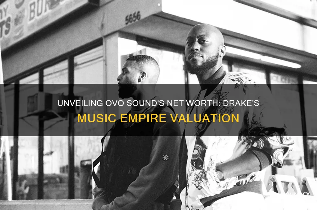 how much is ovo sound worth