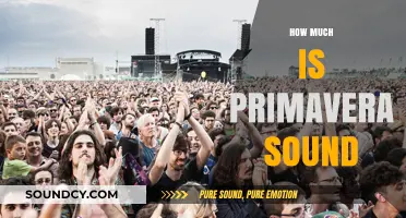 Primavera Sound Festival Costs: Budgeting for Your Ultimate Music Experience