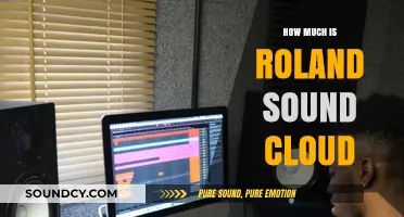 Roland Sound Cloud Pricing: How Much Does It Cost?