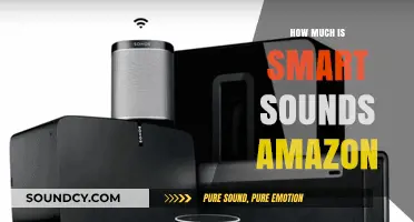 Smart Sounds Amazon: Pricing Guide for Budget-Friendly Audio Upgrades