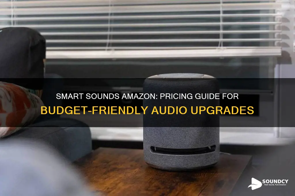 how much is smart sounds amazon