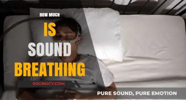 The Cost of Sound Breathing: Uncovering the Value of Healthy Respiration
