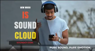 SoundCloud Pricing Explained: How Much Does It Cost?
