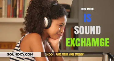 Understanding Sound Exchange Royalties: How Much Do Artists Earn?