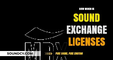 Understanding SoundExchange Licensing Costs for Music Streaming Services