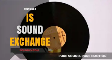 Understanding SoundExchange Royalties: How Much Do Artists Earn?