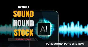 SoundHound Stock Price: Current Value and Investment Potential Explained