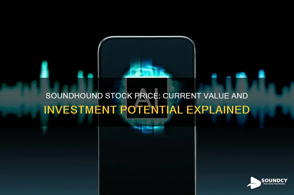 how much is sound hound stock