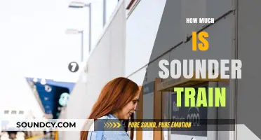 Sounder Train Fares: Cost Breakdown and Budget-Friendly Tips
