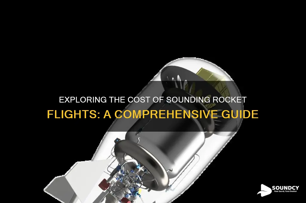 how much is sounding rocket flight