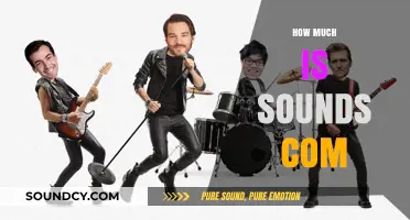 How Much is Sounds.com Worth? A Comprehensive Valuation Guide
