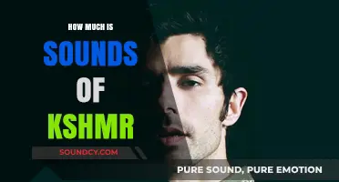 Exploring the Cost of Sounds of KSHMR: A Comprehensive Guide