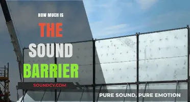 Breaking the Sound Barrier: Cost, Challenges, and Cutting-Edge Technology