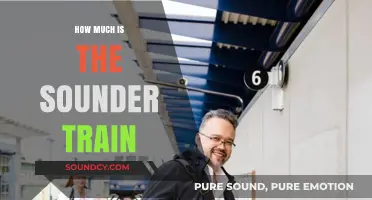 Sounder Train Fares: Cost Breakdown and Budget-Friendly Tips