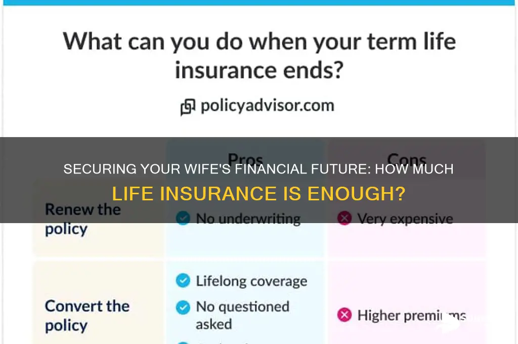 how much life insurance to keep wife financially sound