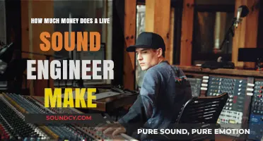 Live Sound Engineer Salary: Earnings, Factors, and Industry Insights