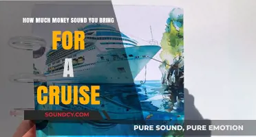 Cruise Cash Guide: Smart Budgeting for Your Voyage Essentials