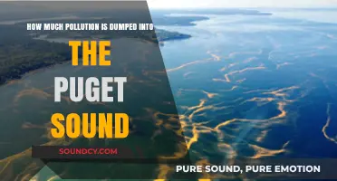 Puget Sound Pollution Crisis: Unveiling the Devastating Dumping Impact