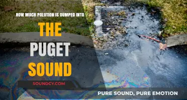 Puget Sound Pollution Crisis: Uncovering the Devastating Dumping Impact