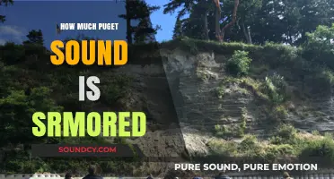 How Much of Puget Sound's Shoreline Remains Armored?