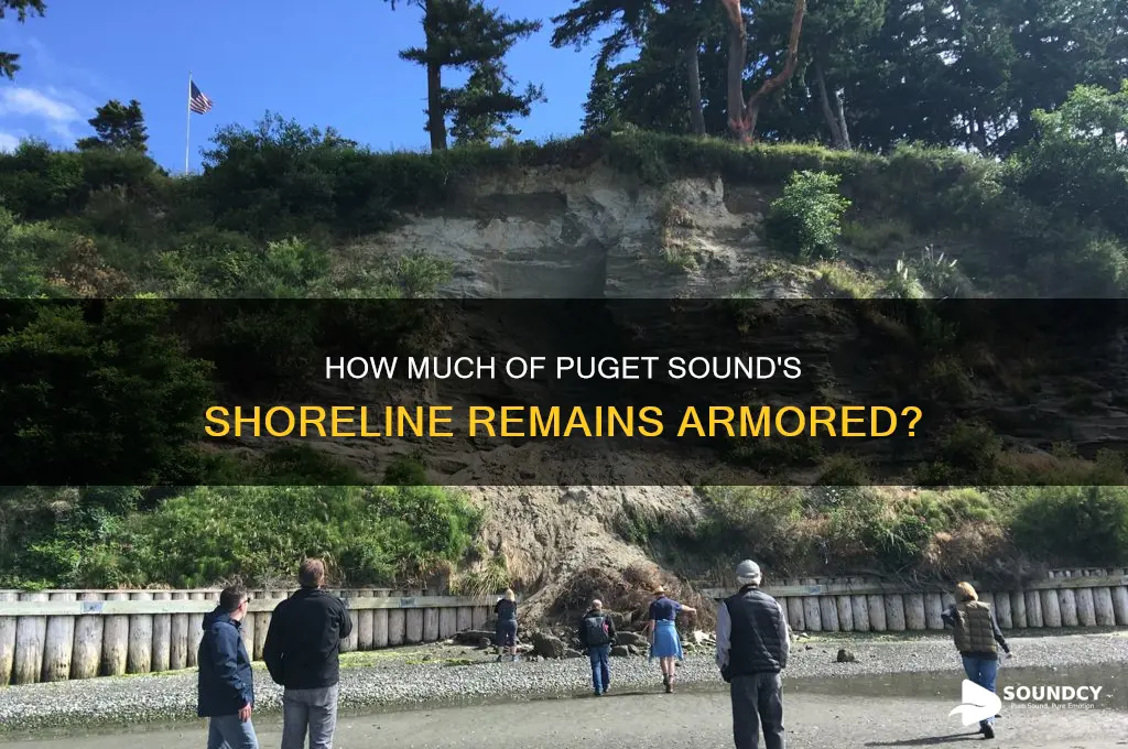 how much puget sound is srmored