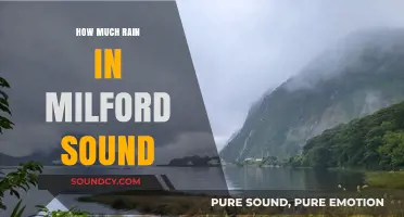Milford Sound's Rainfall: Understanding Its Annual Precipitation Patterns