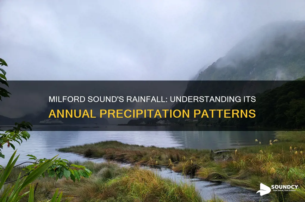 how much rain in milford sound