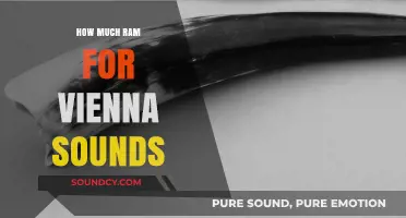 Optimal RAM Requirements for Running Vienna Sounds Efficiently