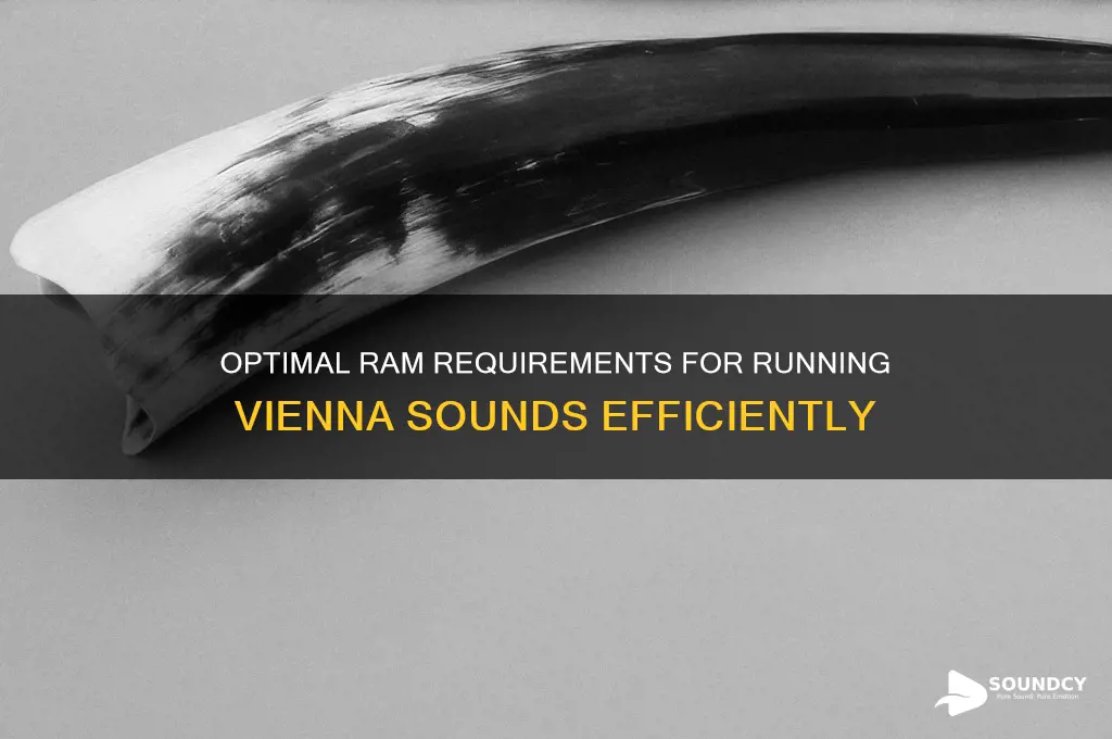 how much ram for vienna sounds