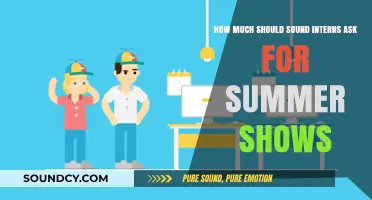 Sound Interns' Summer Show Pay: Negotiating Fair Compensation Tips