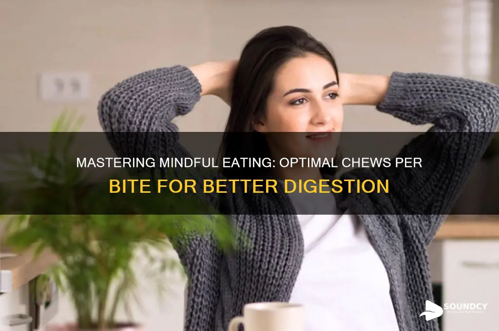 how much should you chew each bite sound bites