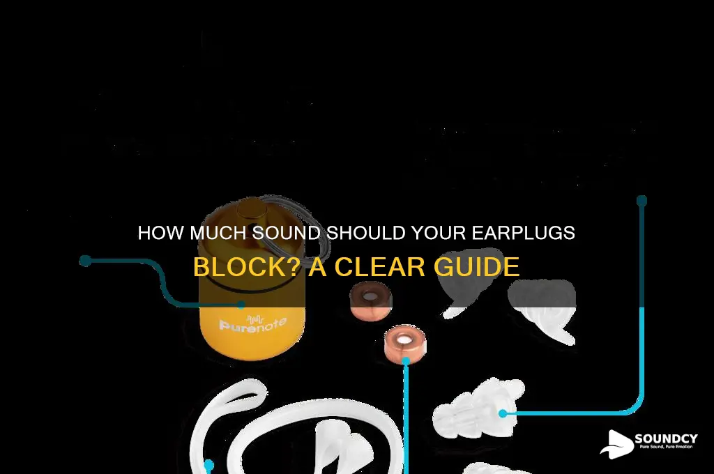 how much sound are my earplugs suppossed to block