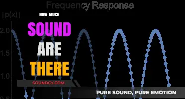 Exploring the Infinite Spectrum: How Many Sounds Exist in Our World?
