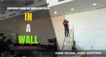 Effective Bat Insulation: Reducing Wall Noise for Quieter Indoor Spaces