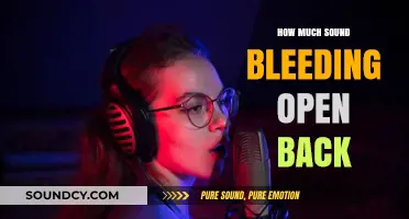 Open-Back Headphones: Understanding Sound Bleed and Its Impact on Listening