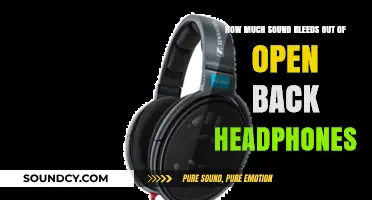 Open-Back Headphones: Understanding Sound Leakage and Privacy Concerns