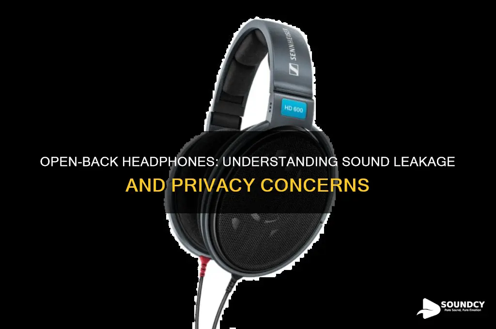 how much sound bleeds out of open back headphones