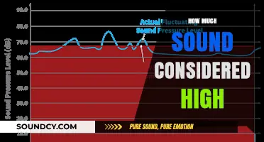Understanding High Sound Levels: What's Considered Too Loud?