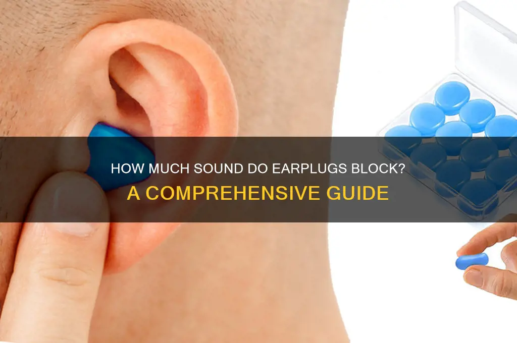how much sound do earplugs block